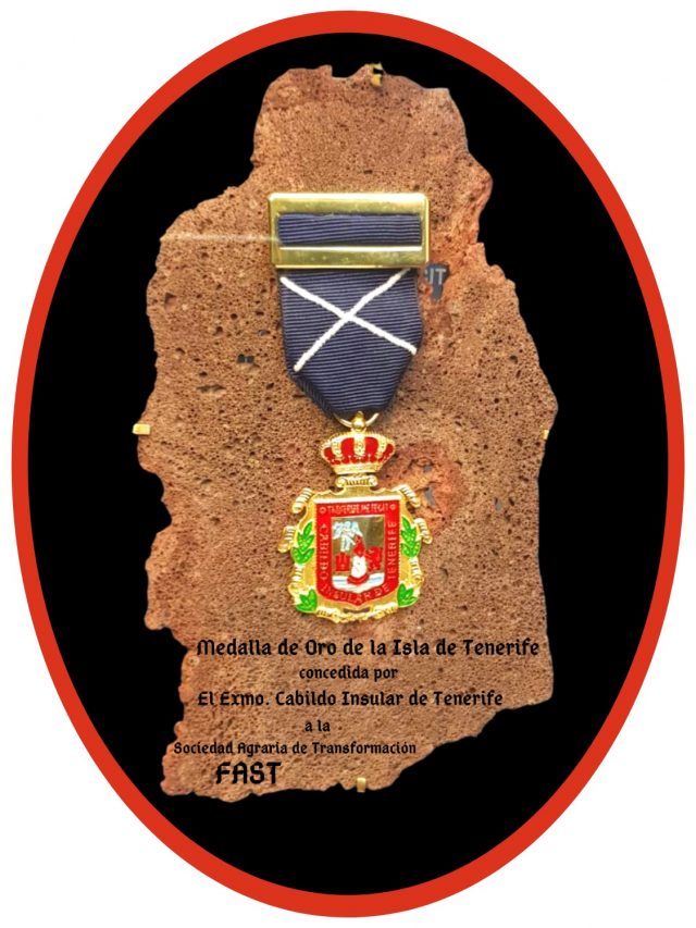 medalla de oro de la Isla de Tenerife