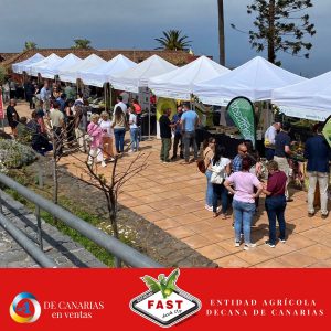 I Feria del aguacate de Canarias